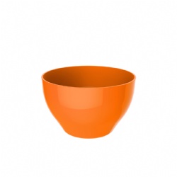 Cereal bowl